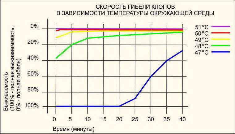 На фото описана скорость гибели клопов